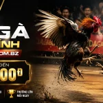 daga88-livecasino-banner-1