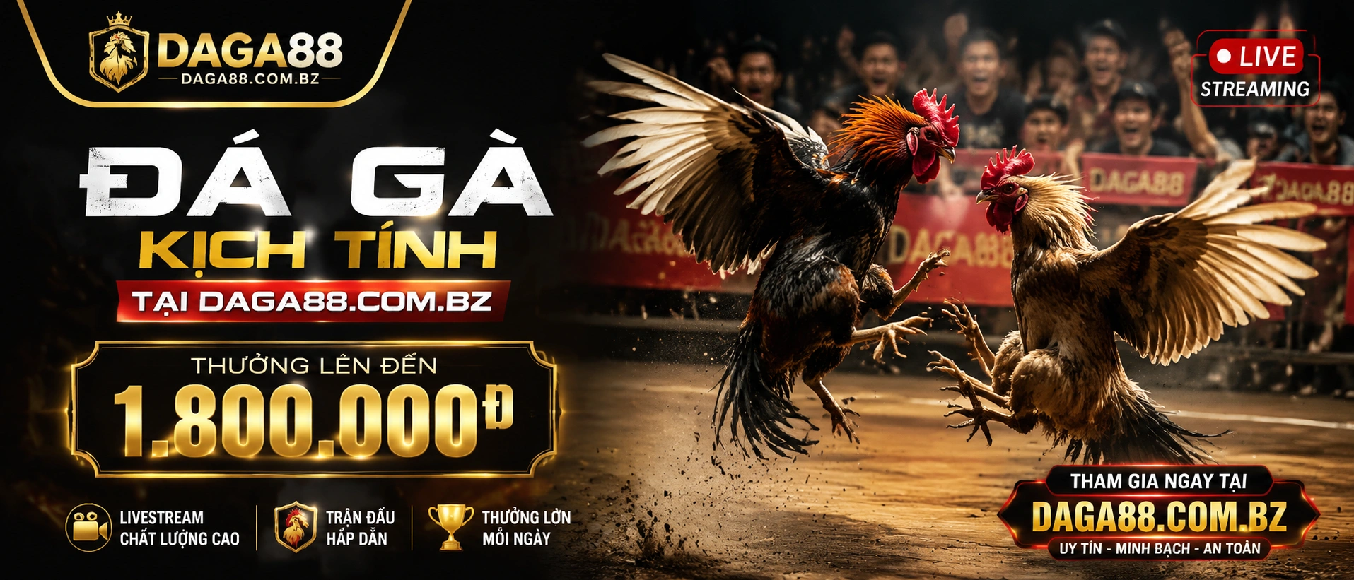 Live Casino