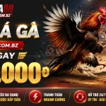 daga88-livecasino-banner-2