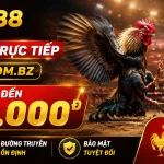 daga88-livecasino-banner-3